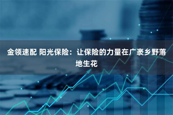 金领速配 阳光保险：让保险的力量在广袤乡野落地生花